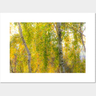 Soft Autumn colours Posters and Art